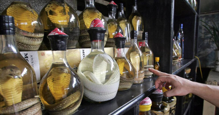 13 από τα πιο εξωφρενικά αλκοολούχα ποτά στον κόσμο