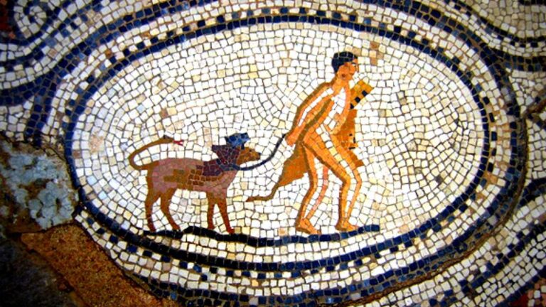 Η επιστημονική εξήγηση πίσω από την αγάπη μας με τους σκύλους