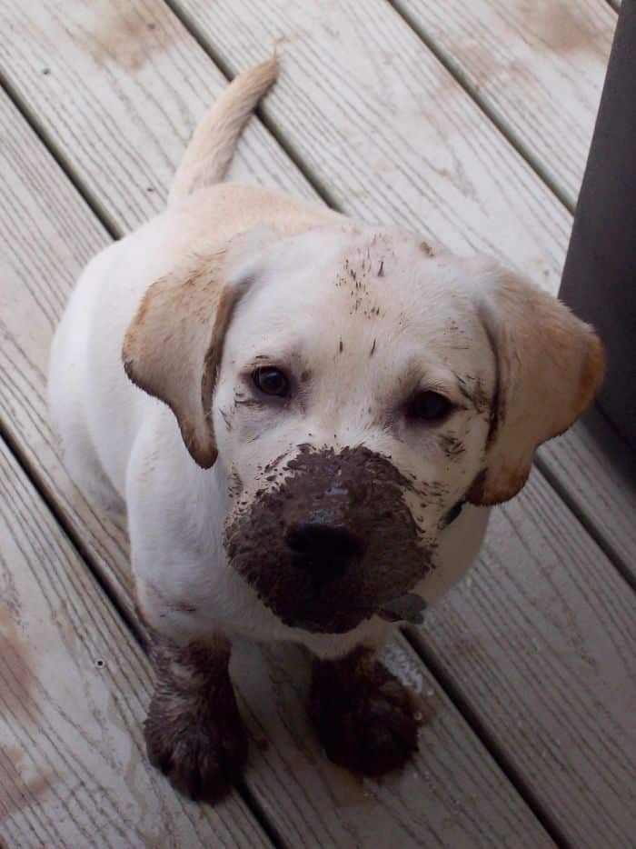 He Didn't Have A Clue Why He Couldn't Come Inside Right Away