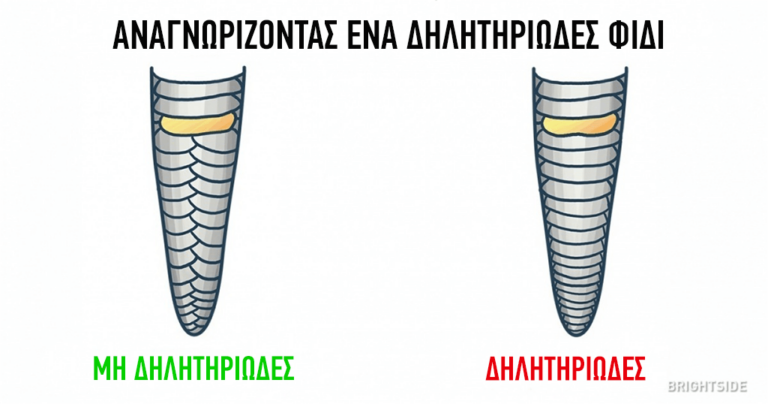 Το να γνωρίζετε αυτά τα 15 γεγονότα μπορεί μια μέρα να σας σώσει τη ζωή