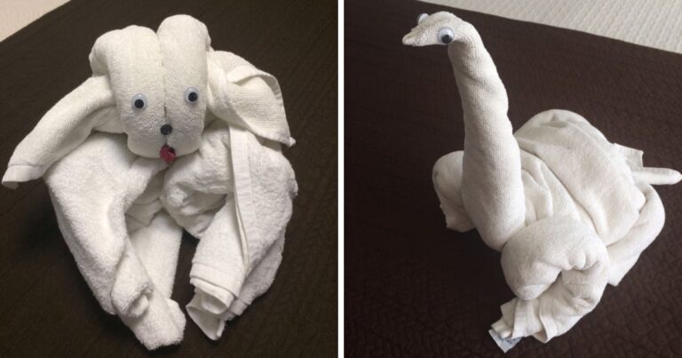 Καμαριέρα αντί να διπλώσει κανονικά τις πετσέτες δημιουργεί τα πιο απίθανα σχέδια