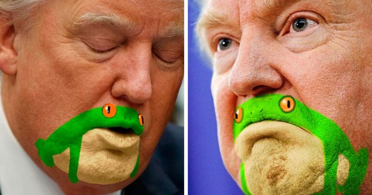 Κάποιος παρατήρησε ότι το πηγούνι του Τραμπ μοιάζει με βάτραχο και το ίντερνετ ξεσάλωσε