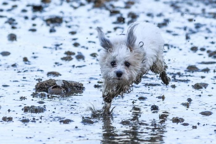 Run In The Mud