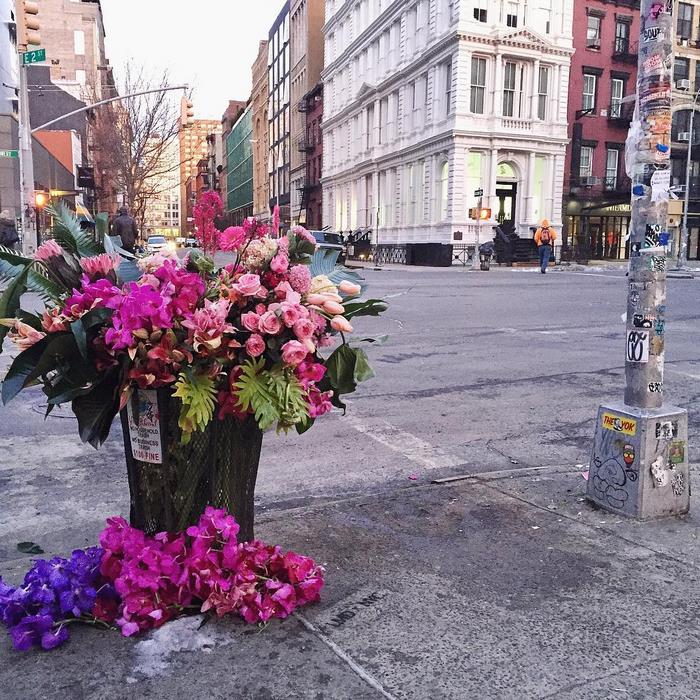 trash-cans-flowers-new-york-lewis-miller-7