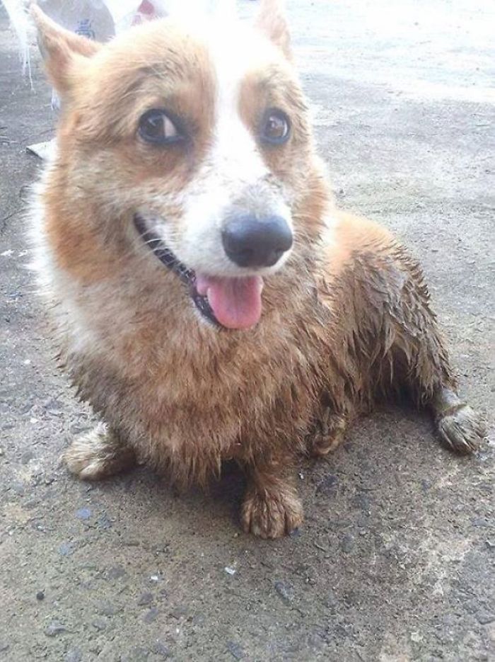 Mud? What Mud?