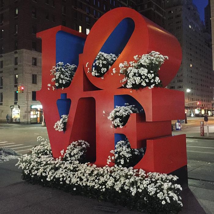 trash-cans-flowers-new-york-lewis-miller-8