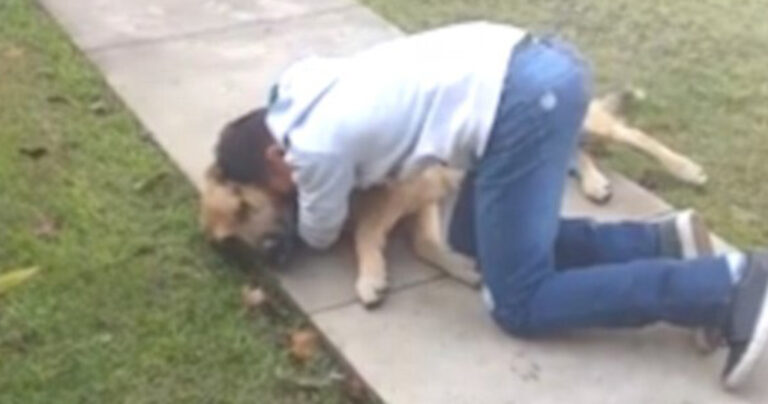 Η συγκινητική στιγμή ενός αγοριού που συναντά τον χαμένο σκύλο του μετά από 8 μήνες