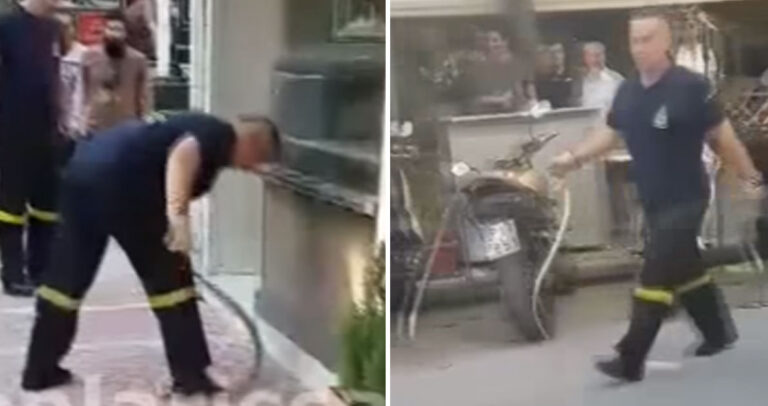 Έλληνας πυροσβέστης εξολοθρεύει φίδι με γυμνά χέρια στο κέντρο της Λάρισας