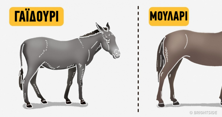 9 απλά πράγματα που μας μπέρδεψαν στο σχολείο