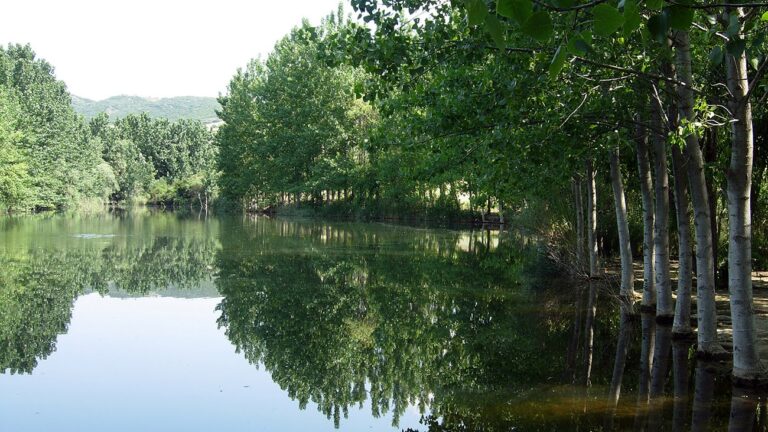 Xωματερή στη Θεσσαλονίκη έγινε μια πανέμορφη λίμνη