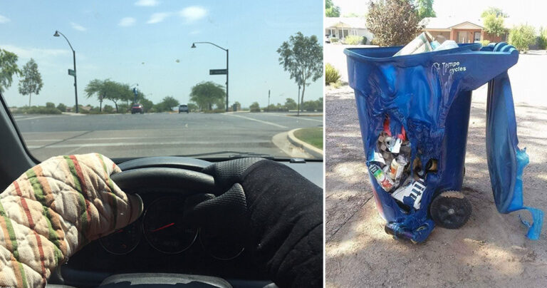 Στην Αριζόνα η θερμοκρασία είναι τόσο υψηλή που ακόμη και οι κάκτοι μαράθηκαν