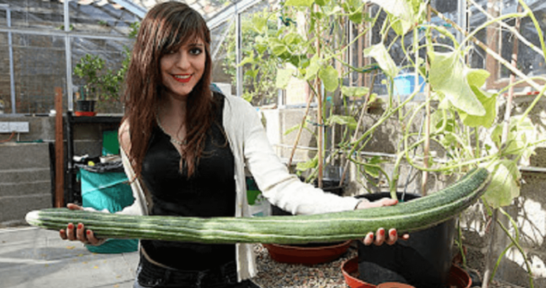 11 λόγοι που πρέπει να τρώμε κάθε μέρα αγγούρι