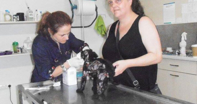 Βρήκαν κουτάβι καμένο με οξύ στην πόλη των Τρικάλων