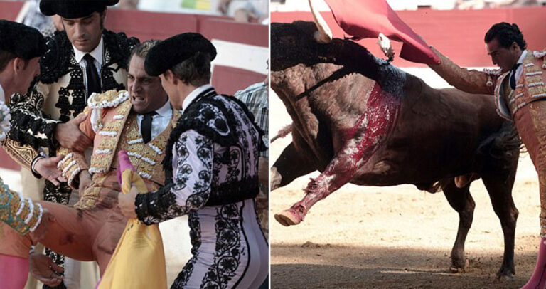 Ταύρος σκότωσε βραβευμένο ταυρομάχο μπροστά στα μάτια χιλιάδων θεατών