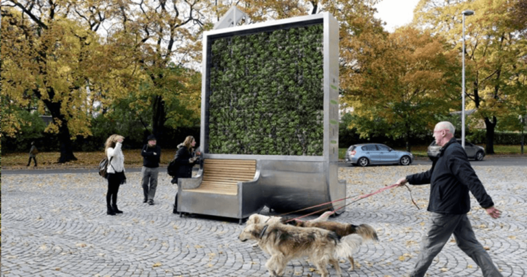 «Πράσινοι» τοίχοι στις πόλεις καθαρίζουν τον αέρα όπως 275 δέντρα