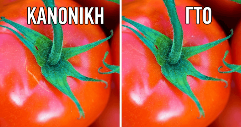 3 απλοί τρόποι να ξεχωρίσετε τα οργανικά από τα μεταλλαγμένα τρόφιμα