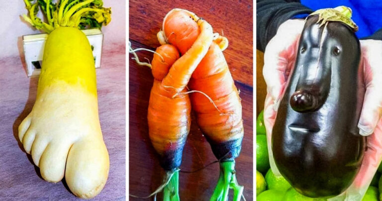 10 κοινά λαχανικά που μοιάζουν σαν να έχουν έρθει από άλλον πλανήτη