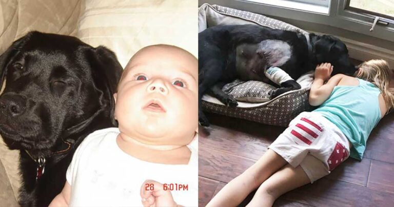 Γυναίκα είπε στην αδερφή της να μην πάρει σκύλο όταν κάνει παιδί αλλά αυτή δεν την άκουσε