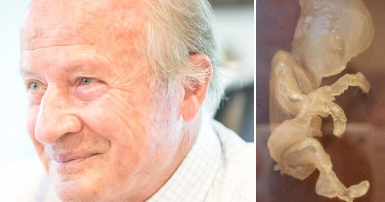 Ο πρωτοπόρος Έλληνας γυναικολόγος που έχει φέρει στον κόσμο πάνω από 15.000 μωρά