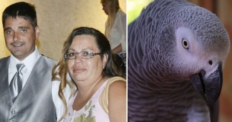 Παπαγάλος κατέδωσε γυναίκα για το φόνο του συζύγου της που πυροβόλησε