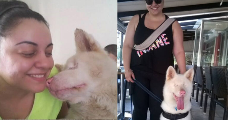 Ο τυφλός Κόρο βρήκε τη νεράιδα της καρδιάς του όταν οι «δικοί» του τον παράτησαν στο Κορωπί Αττικής