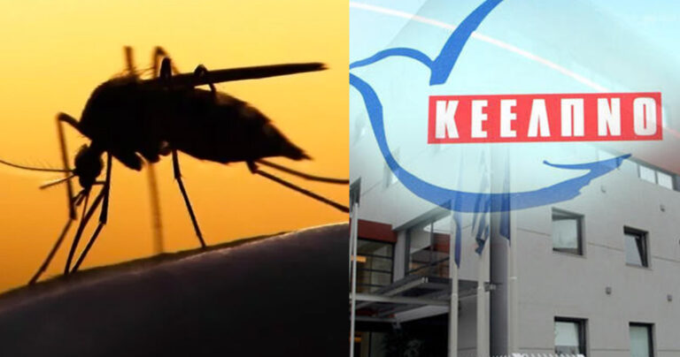 Συναγερμός για ελονοσία σε Ηλεία, Αχαΐα, Θεσσαλονίκη, Σκιάθο και Τέμπη