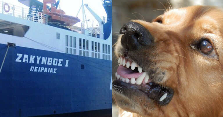 Σκύλος δάγκωσε μωρό στο πρόσωπο μέσα στο καράβι που πήγαινε στην Ζάκυνθο