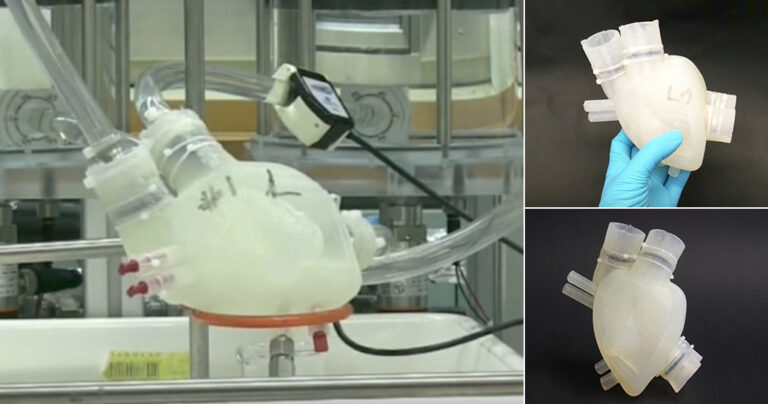 Επιστήμονες δημιούργησαν μια τεχνητή καρδιά από σιλικόνη που χτυπά όπως μια κανονική