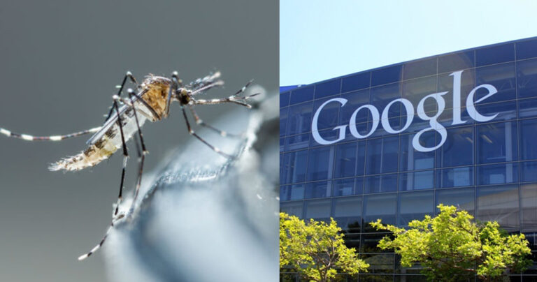 Η Google απελευθερώνει 20 εκατομμύρια κουνούπια για έναν πολύ σοβαρό λόγο