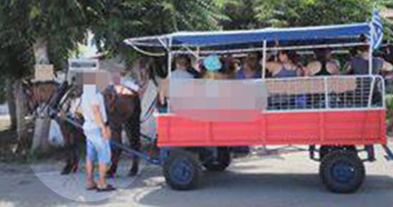 Άλογο μέσα στον καύσωνα σέρνει μια άμαξα με 16 ανθρώπους στην Χαλκιδική