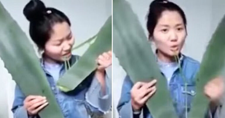 26χρονη δηλητηριάστηκε από φυτό την στιγμή που έκανε ζωντανή μετάδοση στο ίντερνετ