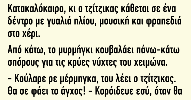 Κατακαλόκαιρο ο τζίτζικας κάθεται σε ένα δέντρο με γυαλιά ηλίου