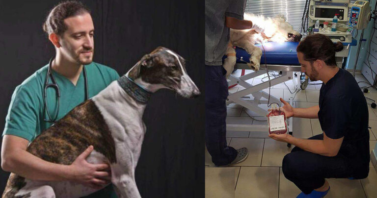 Ο Ελληνοϊταλός κτηνίατρος που σώζει αδέσποτα στον Βόλο