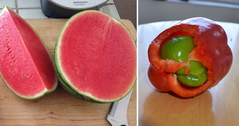 40 φορές που άνθρωποι πέτυχαν πολύ μεγάλες εκπλήξεις στο φαγητό τους