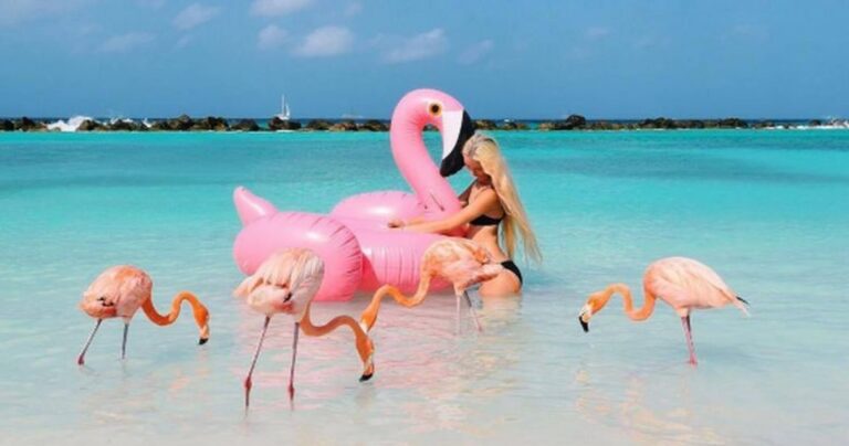 Πώς ξεκίνησε η μόδα με τα ροζ φλαμίνγκο
