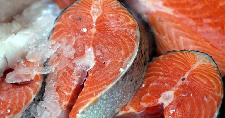 Στην αγορά ο πρώτος μεταλλαγμένος σολομός