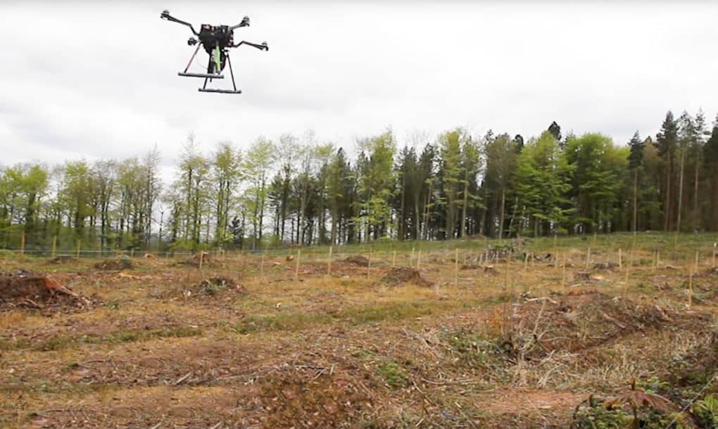 perierga.gr - Drones φυτεύουν ολόκληρο δάσος!