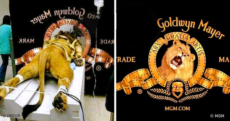 12 εκπληκτικά γεγονότα για λογότυπα που δεν γνωρίζατε