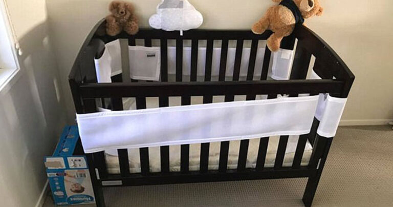 Μπορείτε να εντοπίσετε το κρυμμένο φίδι στη φωτογραφία;