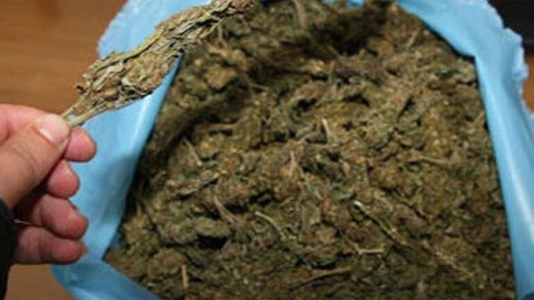 Ηλεία: Εργοδότης πλήρωσε με χασίς τα μεροκάματα των Πακιστανών εργατών του