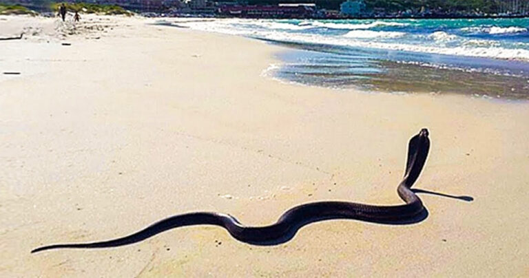 12 κίνδυνοι που θα καταστρέψουν τις διακοπές σας σε εξωτικές χώρες