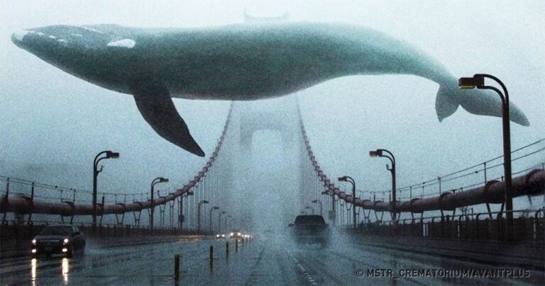 Αυτά είναι τα 15 μεγαλύτερα πράγματα πάνω στον πλανήτη μας