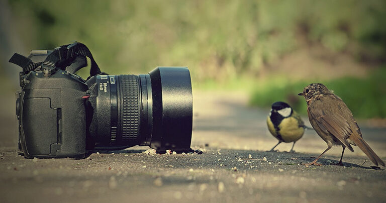 Δείτε τη φωτογραφία που πήρε το πρώτο βραβείο στον διαγωνισμό 2017 του National Geographic