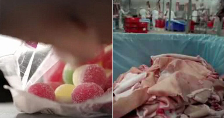 Ζελεδακια: Η διαδικασία παραγωγής τους δεν είναι καθόλου όμορφη