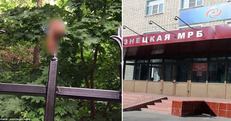 Μεθυσμένος άντρας ξερίζωσε τα γεννητικά του όργανα πάνω σε φράχτη