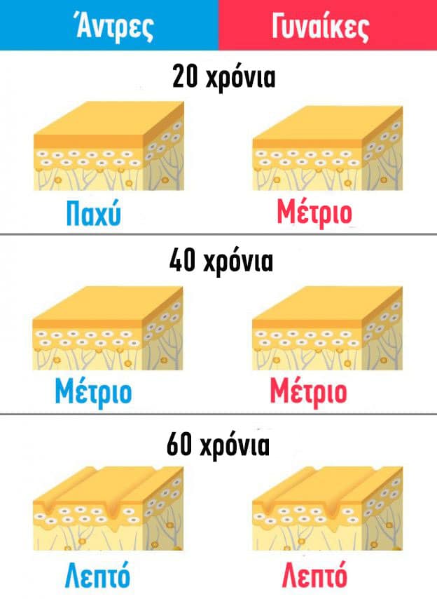 6ae4db66d17bdb3efd3c62c4d79a6ee0