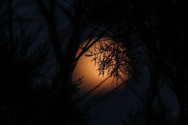 Φωτογραφίες από την χθεσινή μαγευτική πανσέληνο και έκλειψη 21 8ddf878039b70767c4a5bcf4f0c4f65e 1 1