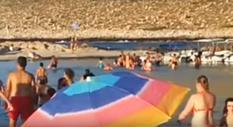 Έτρεχαν να ξεφύγουν από φίδι που εμφανίστηκε στη θάλασσα σε παραλία των Χανίων