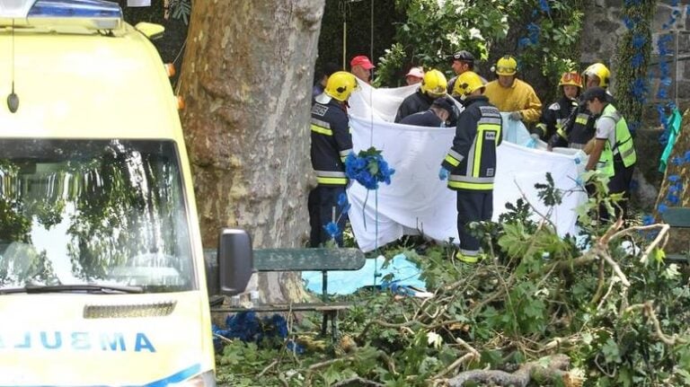 Δέντρο καταπλάκωσε και σκότωσε πιστούς σε προσκύνημα στην Πορτογαλία