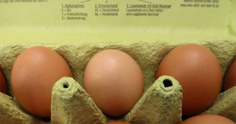 Συναγερμός για το νέο διατροφικό σκάνδαλο στην Ευρώπη με τα αυγά